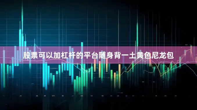 股票可以加杠杆的平台随身背一土黄色尼龙包