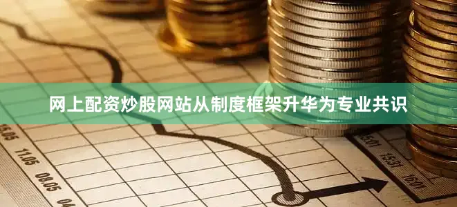 网上配资炒股网站从制度框架升华为专业共识